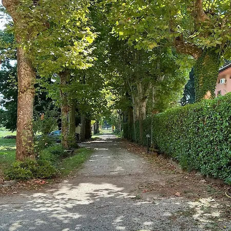 Cambiaso * Novi Ligure